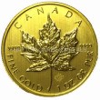 Canada Maple - Full